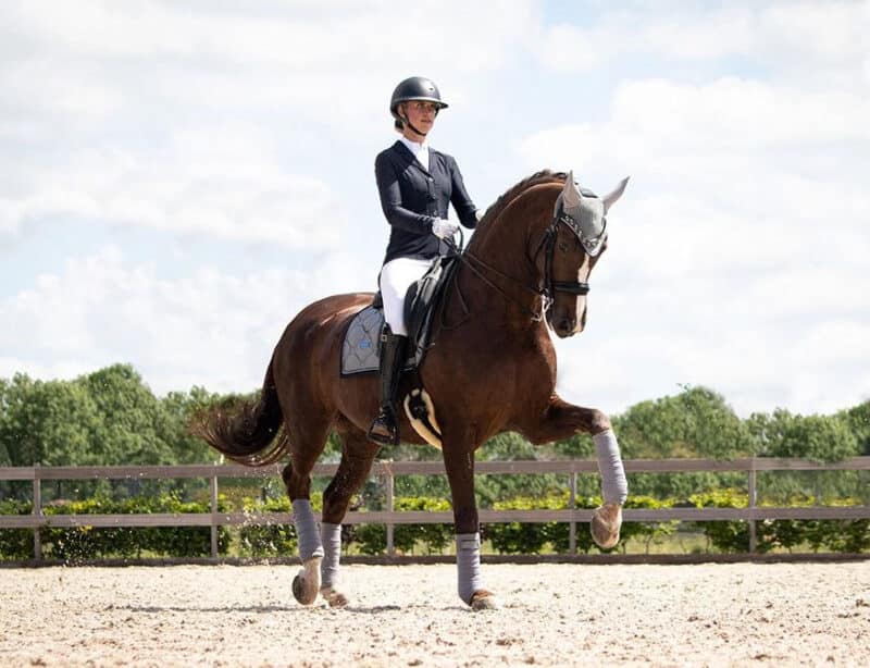 Вальтрап выездочный Crystal от Equestrian Stockholm