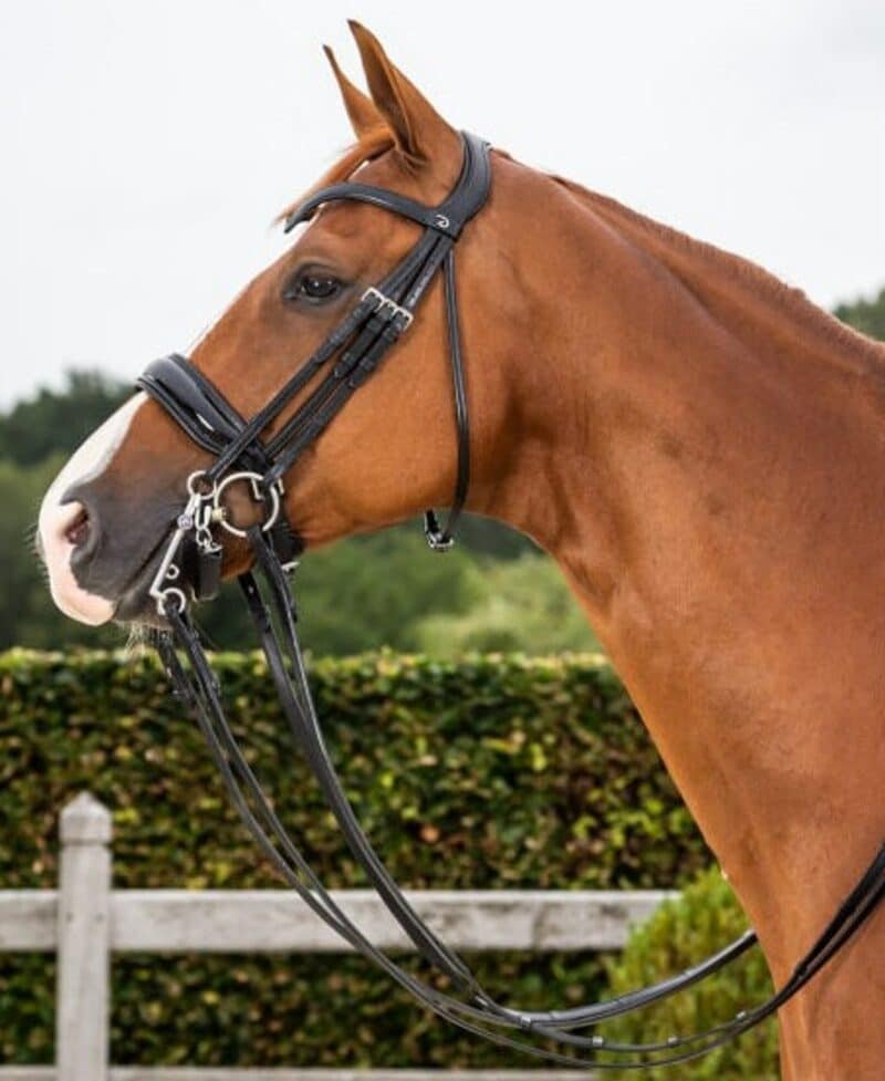 Ремінь потиличний Dressage Double Bridle від Dyon