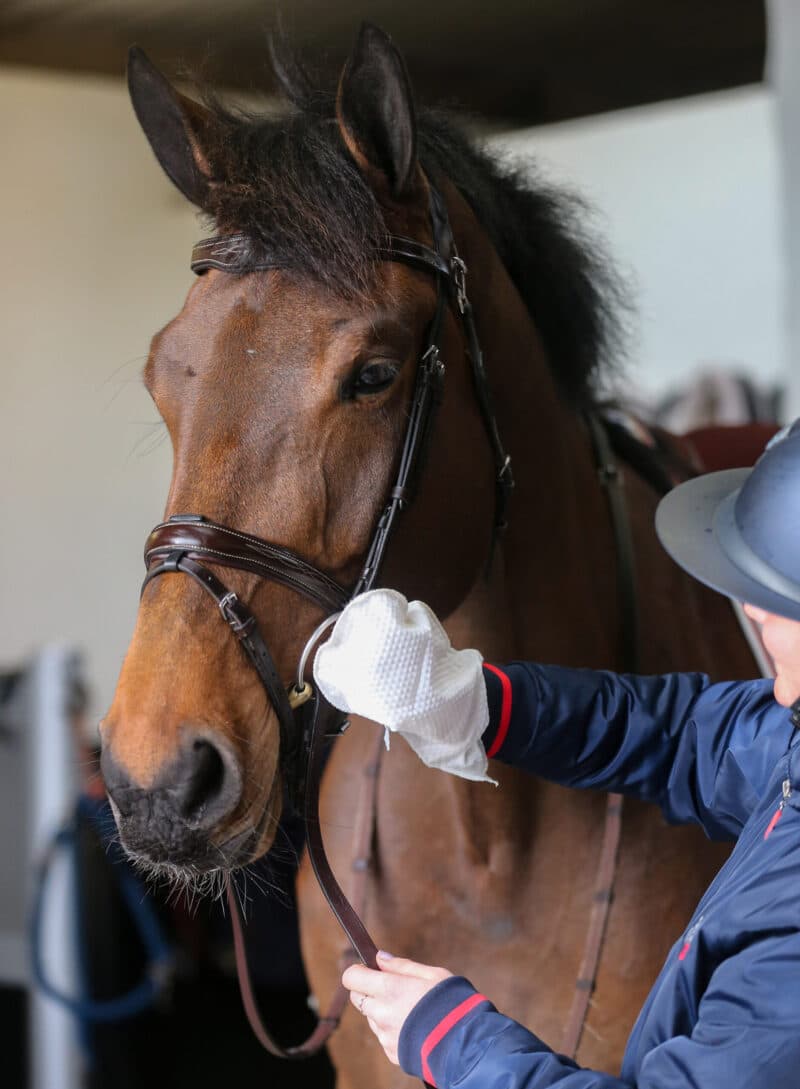 Серветка-рукавичка для чищення амуніції Tack Cleaning Mitt від Carr&Day&Martin