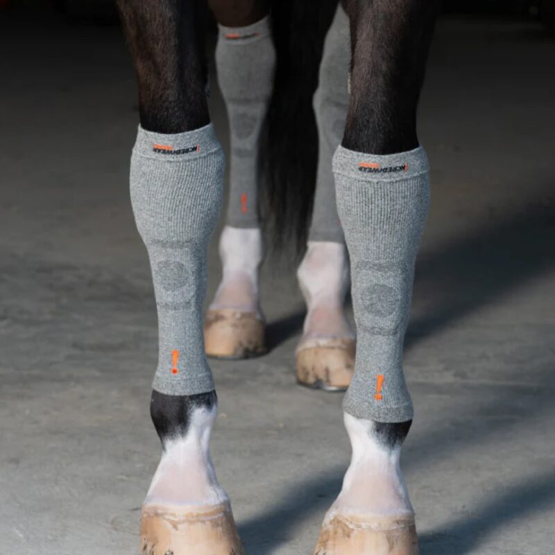 Шкарпетки для сухожилля Circulation Socks від Incrediwear Equine