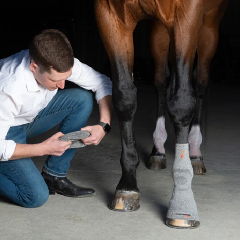 Шкарпетки для сухожилля Circulation Socks від Incrediwear Equine