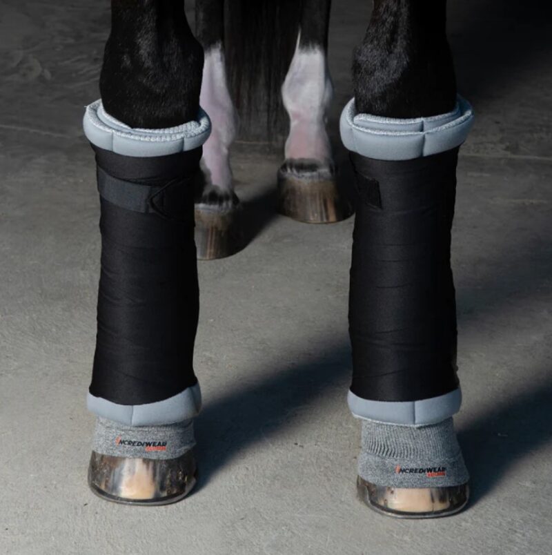 Шкарпетки для сухожилля Circulation Socks від Incrediwear Equine