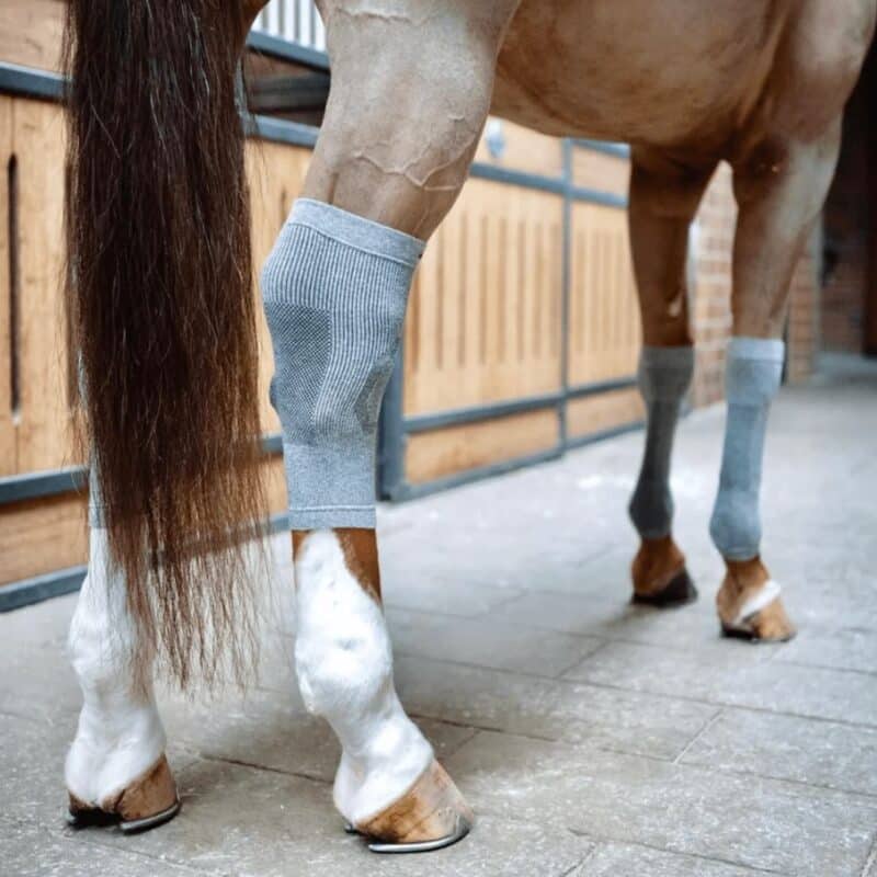 Носки для сухожилия Circulation Socks от Incrediwear Equine