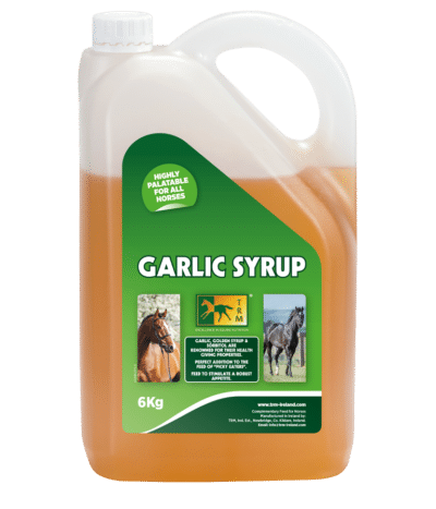 Сироп часниковий з глюкозою Garlic Syrup від TRM, 6 кг